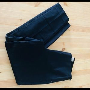 NWT Everlane Side Zip Work Pants